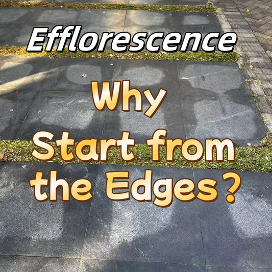 Why Does Efflorescence Start from the Edges?