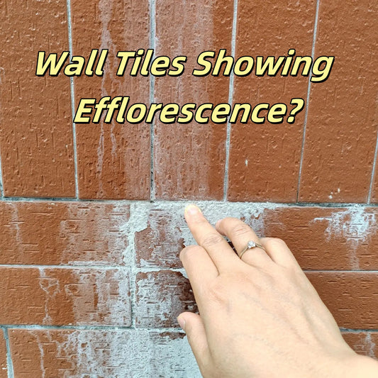 Wall Tiles Showing Efflorescence? Here's How to Fix It!